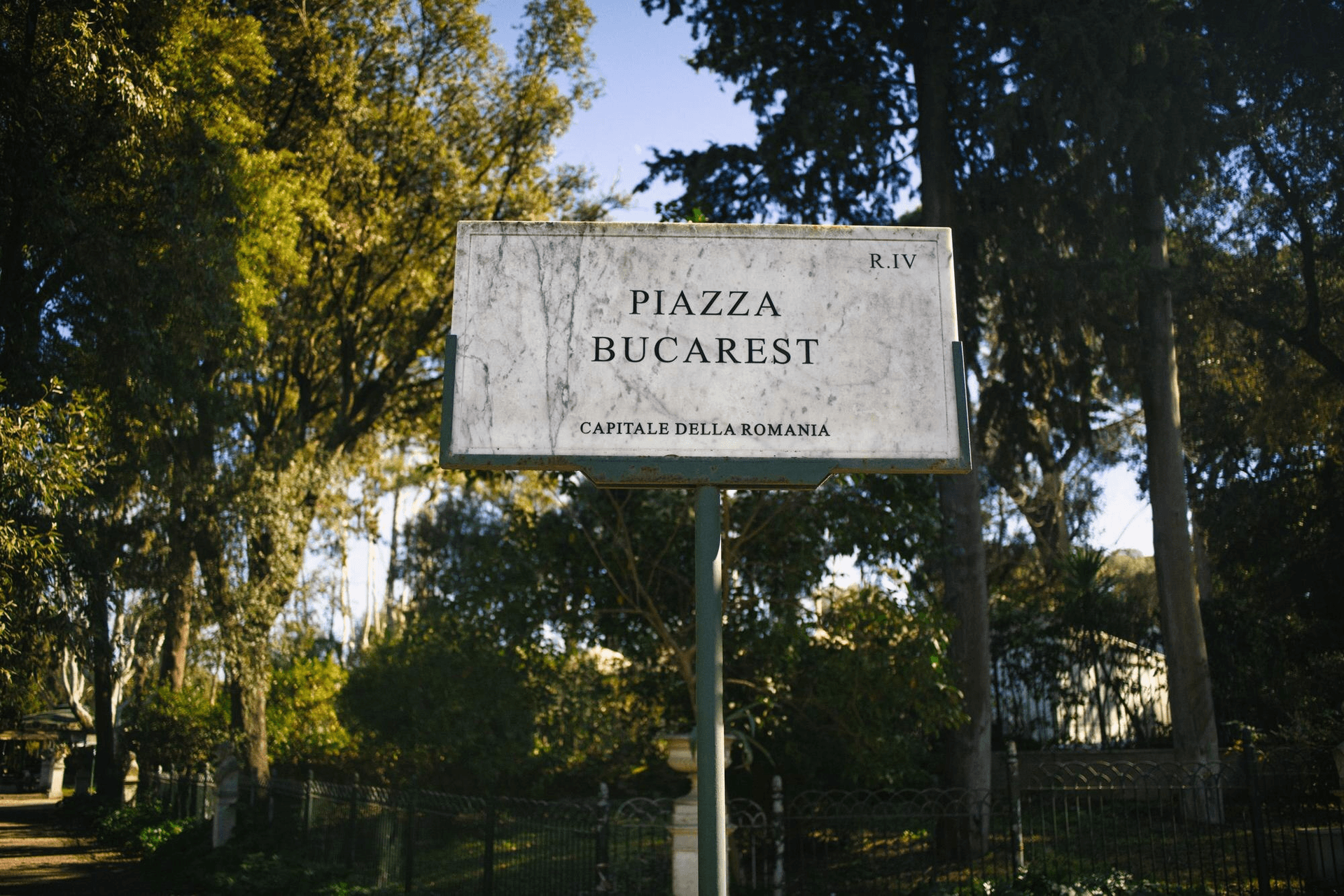 Custom Signage That Stands Out